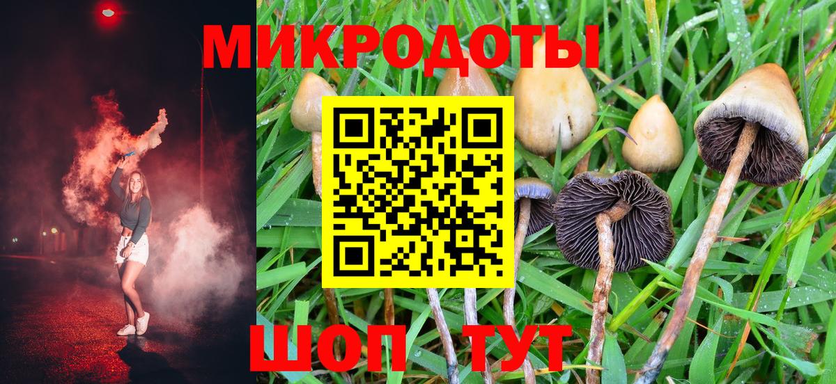 Псилоцибиновые грибы MAGIC MUSHROOMS Дедовск