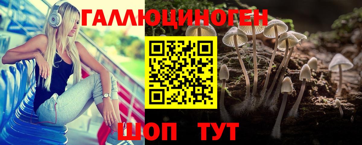 Галлюциногенные грибы Psilocybine cubensis  Вход с VPN  Дедовск 